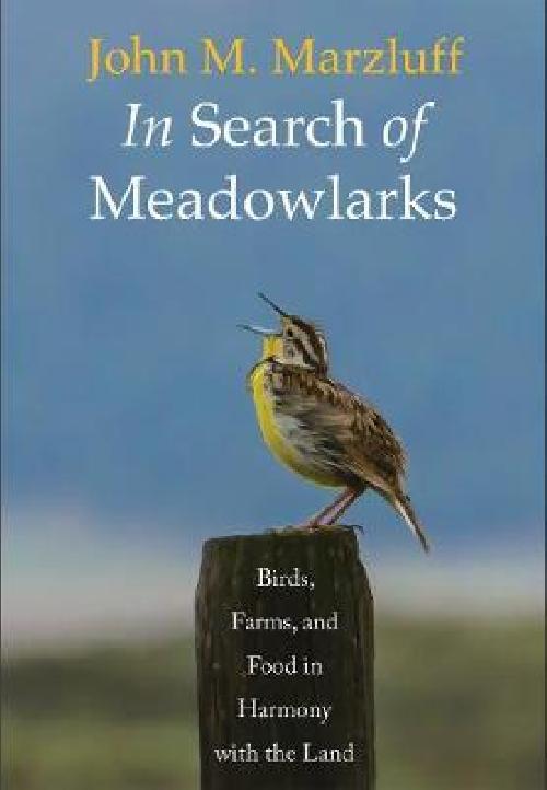 In Search of Meadowlarks: Birds, Farms, and Food in Harmony with the Land