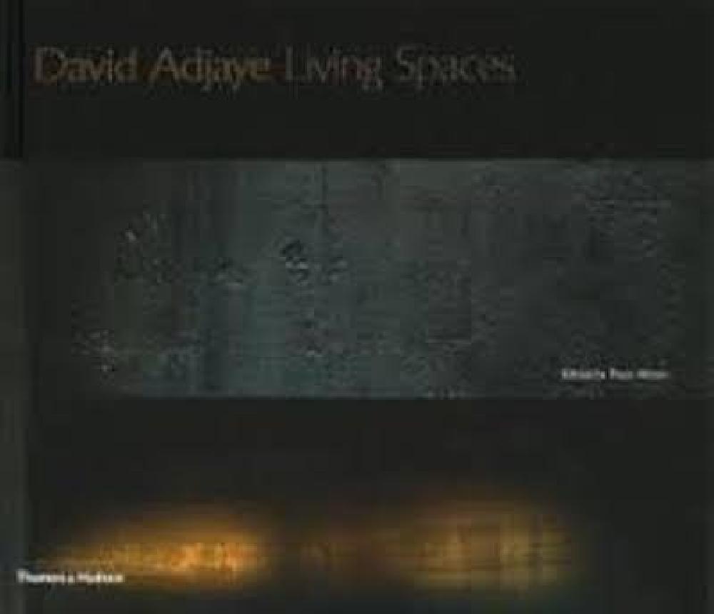 David Adjaye living spaces